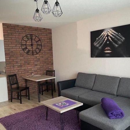 Apartamenty Bartnicza C Бельсько-Бяла Екстер'єр фото